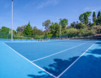 athletic game, sport, sky, tree, outdoor, tennis, court, racket